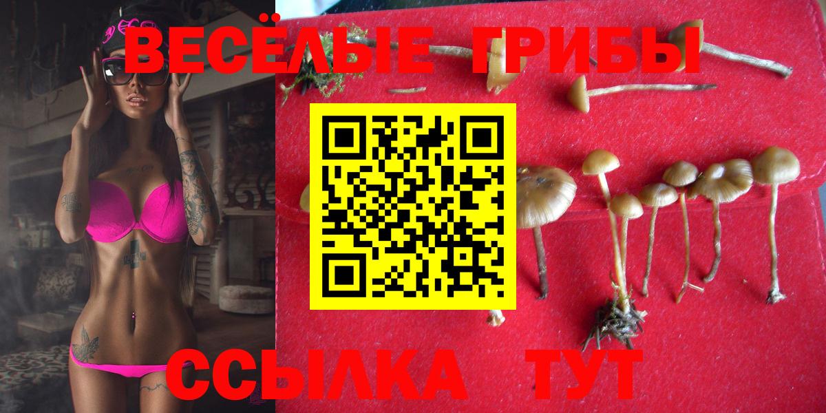Галлюциногенные грибы ЛСД Котельники